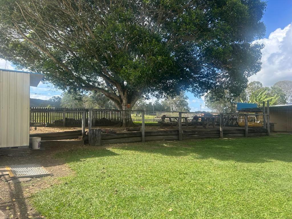 Gundy Pub & Caravan Park Gundiah Экстерьер фото